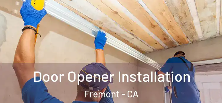  Door Opener Installation Fremont - CA