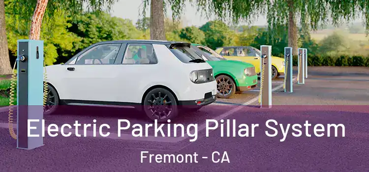  Electric Parking Pillar System Fremont - CA