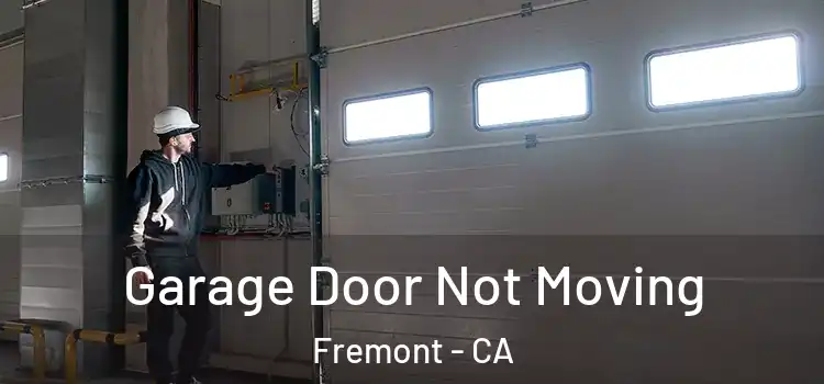  Garage Door Not Moving Fremont - CA