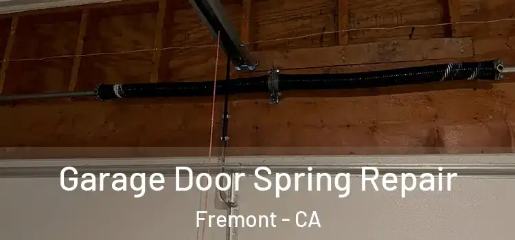  Garage Door Spring Repair Fremont - CA