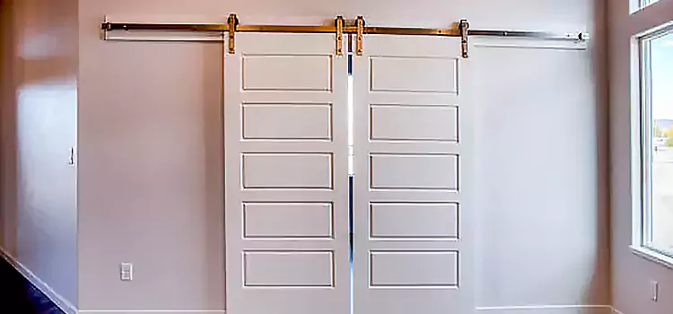 Glass Barn Door with Installation Hardware Kit Fremont