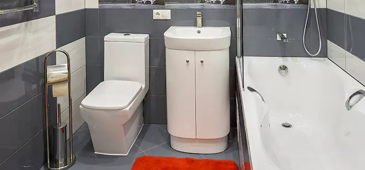 Hansgrohe Shaving Mirror Fremont