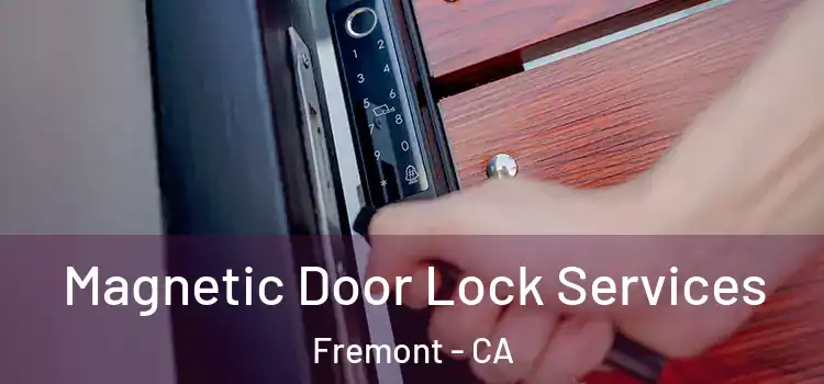 Magnetic Door Lock Services Fremont - CA